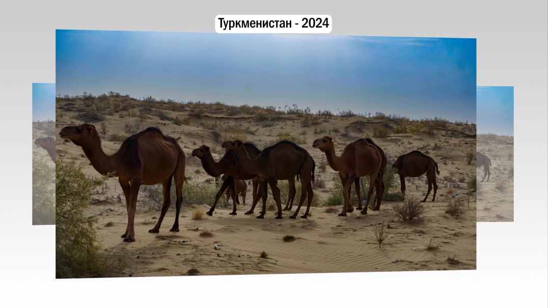 ⁣Turkmen 2024 Master 04 UHD