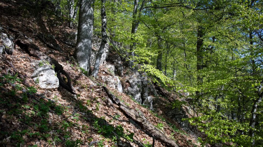 Чатыр - Даг 2024 1080р